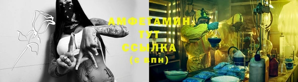 мдпв Богородск