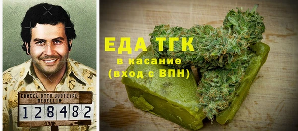 мдпв Богородск
