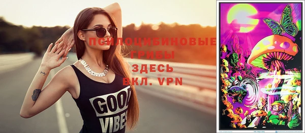 гидропоника Богданович