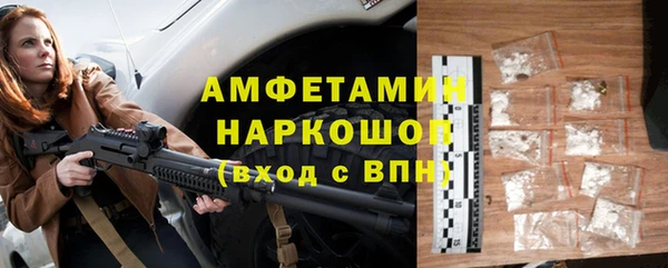 мдпв Богородск