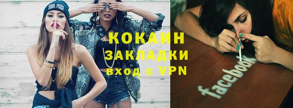 гидропоника Богданович
